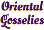 Logo Oriental Gosselies